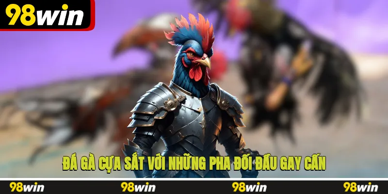 Đá gà cựa sắt với những pha đối đầu gay cấn