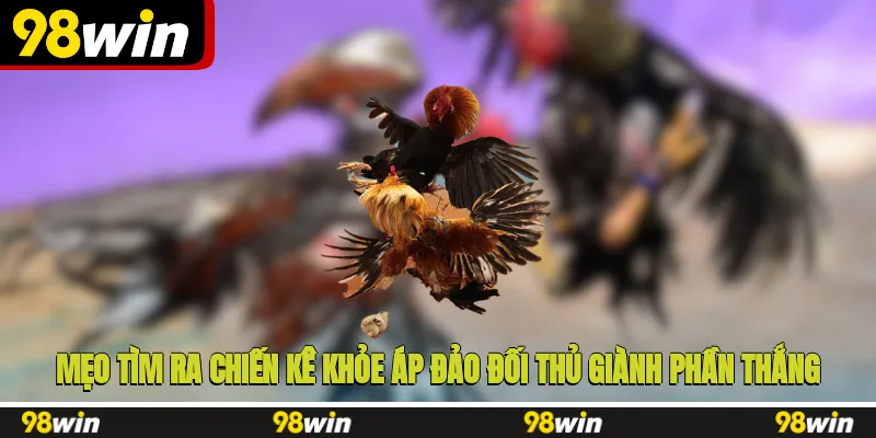 Mẹo tìm ra chiến kê khỏe áp đảo đối thủ giành phần thắng