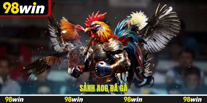 AOG đá gà