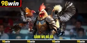 WS đá gà