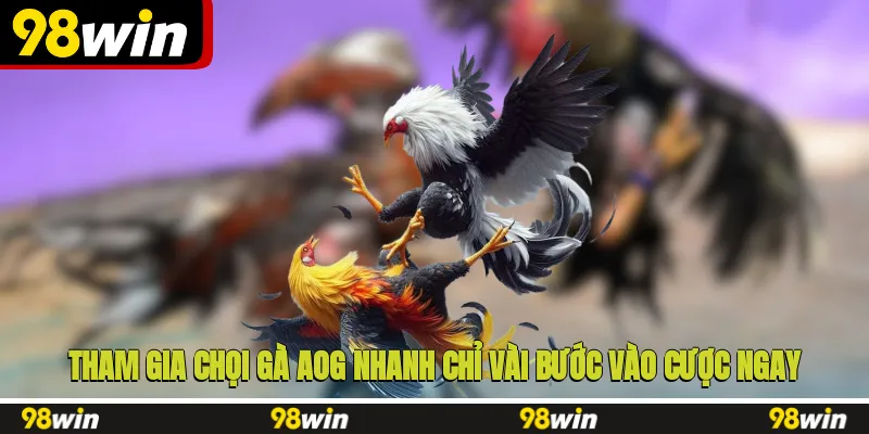 Tham gia chọi gà AOG nhanh, chỉ vài bước vào cược ngay