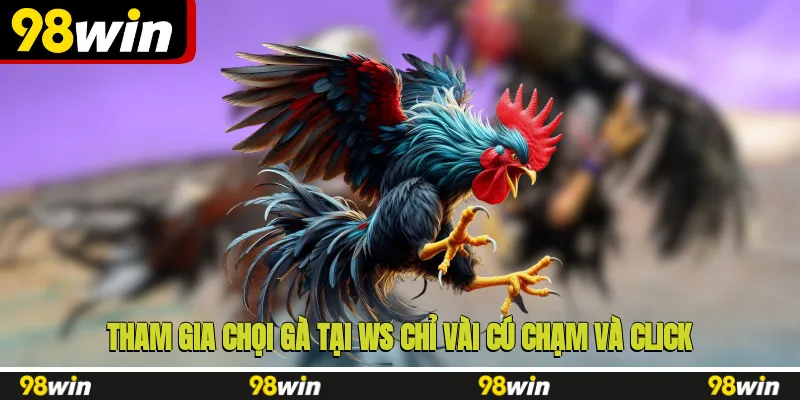 Tham gia chọi gà tại WS chỉ vài cú chạm và click